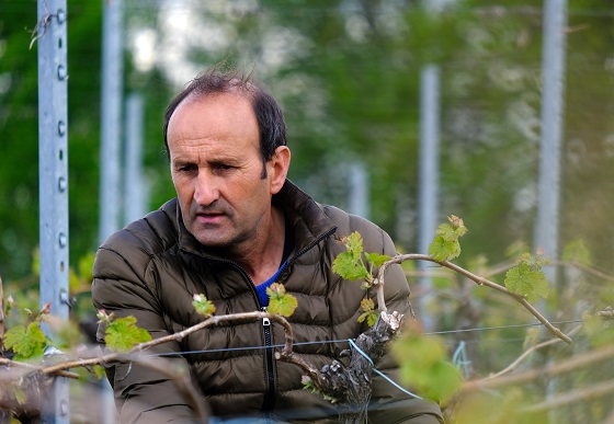 Chateau Fleur Haut Gaussens Herve Lhuillier